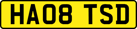 HA08TSD