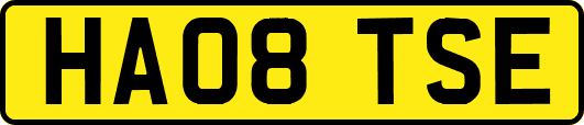 HA08TSE