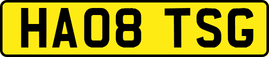HA08TSG
