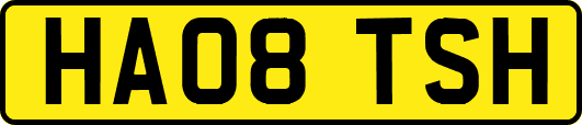 HA08TSH