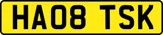 HA08TSK