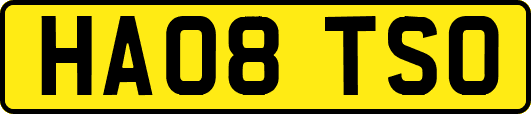 HA08TSO