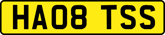 HA08TSS