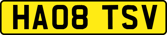 HA08TSV