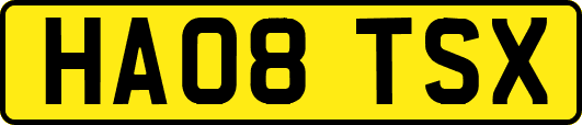HA08TSX