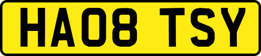 HA08TSY