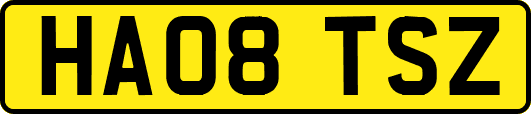 HA08TSZ