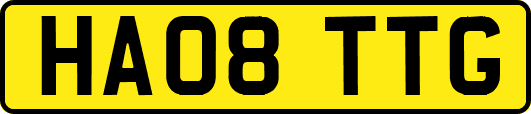 HA08TTG