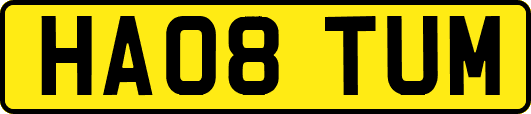 HA08TUM