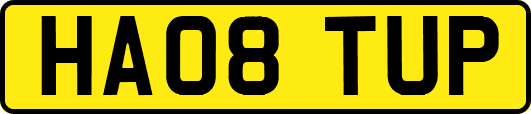 HA08TUP