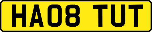HA08TUT