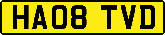 HA08TVD
