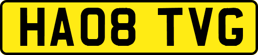 HA08TVG