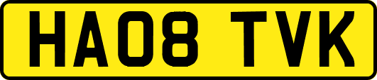 HA08TVK