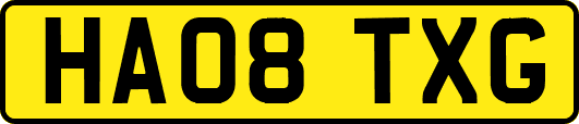 HA08TXG