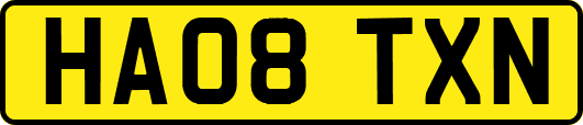 HA08TXN