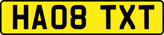 HA08TXT