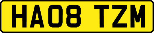 HA08TZM
