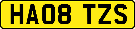 HA08TZS