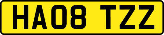 HA08TZZ