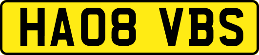 HA08VBS