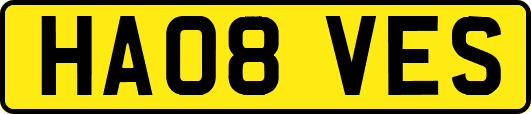 HA08VES