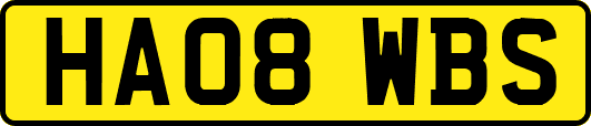 HA08WBS