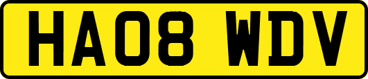 HA08WDV