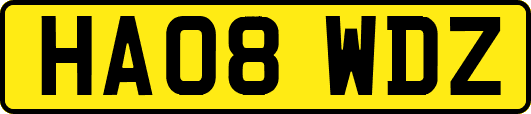HA08WDZ