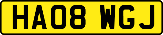 HA08WGJ