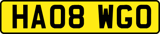 HA08WGO