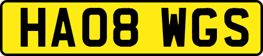 HA08WGS