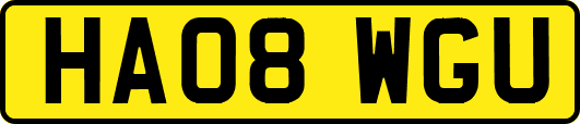 HA08WGU