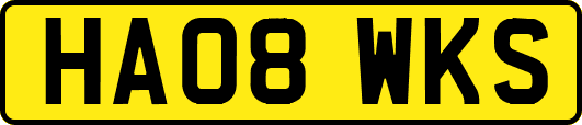 HA08WKS