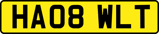 HA08WLT