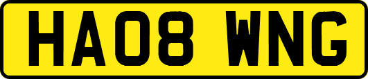 HA08WNG