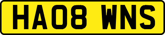 HA08WNS