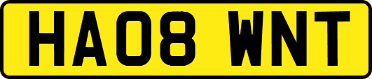HA08WNT