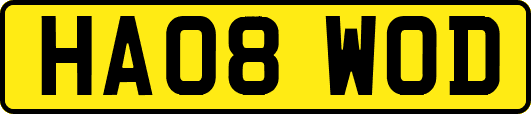 HA08WOD