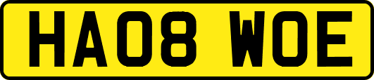 HA08WOE