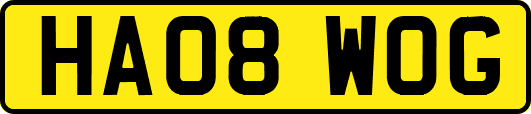 HA08WOG