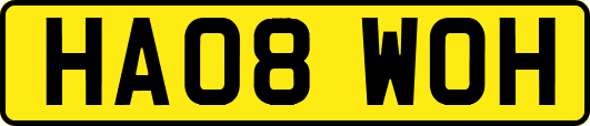 HA08WOH