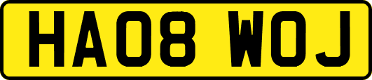 HA08WOJ