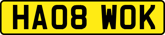 HA08WOK