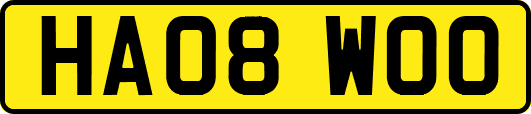 HA08WOO