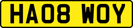 HA08WOY
