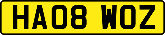 HA08WOZ