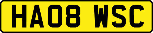 HA08WSC