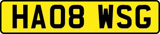 HA08WSG