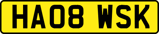 HA08WSK